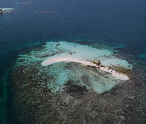 snorkeling-img3