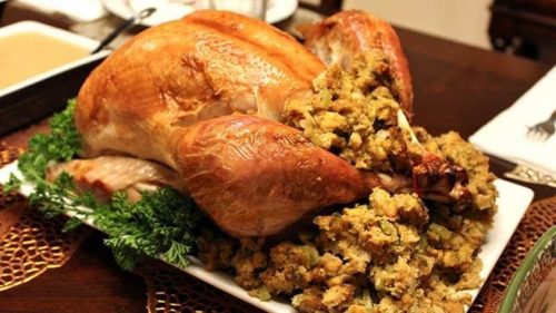 Thanksgiving google doodle youtube
